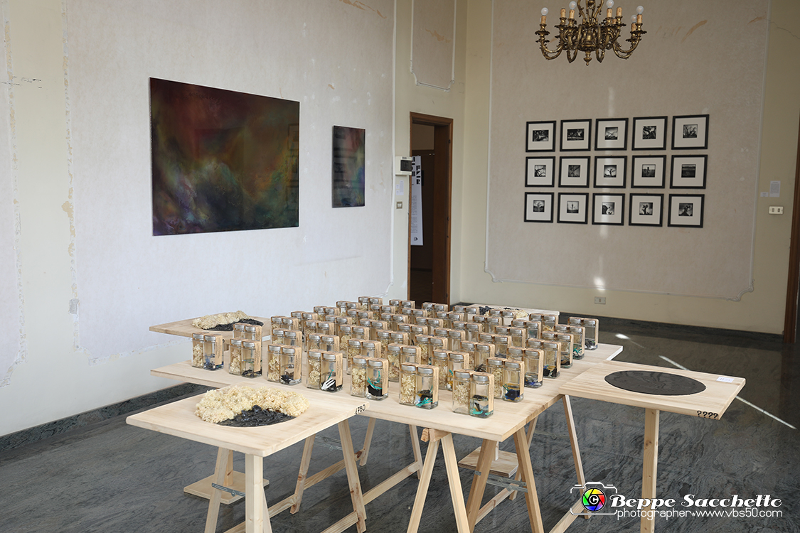 VBS_4061 - Paratissima 2021 - 17.ma Edizione.jpg
